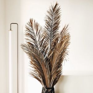 Palm Leaf BUNDLE